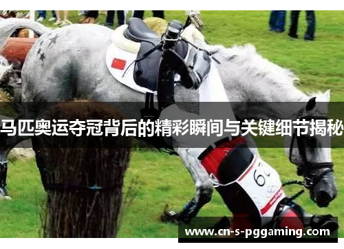 马匹奥运夺冠背后的精彩瞬间与关键细节揭秘 马匹奥运夺冠背后的精彩瞬间与关键细节揭秘